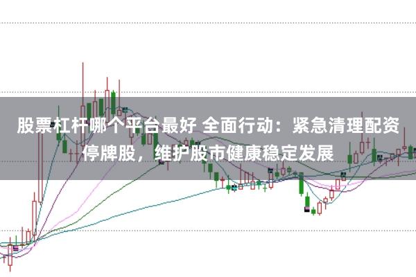 股票杠杆哪个平台最好 全面行动：紧急清理配资停牌股，维护股市健康稳定发展