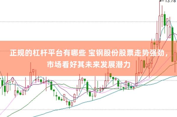 正规的杠杆平台有哪些 宝钢股份股票走势强劲，市场看好其未来发展潜力