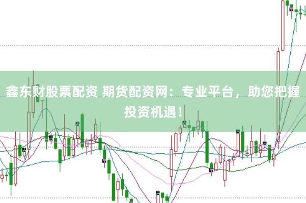 鑫东财股票配资 期货配资网：专业平台，助您把握投资机遇！