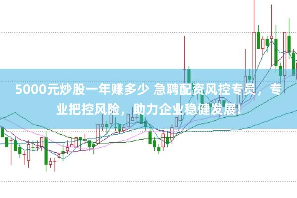 5000元炒股一年赚多少 急聘配资风控专员，专业把控风险，助力企业稳健发展！