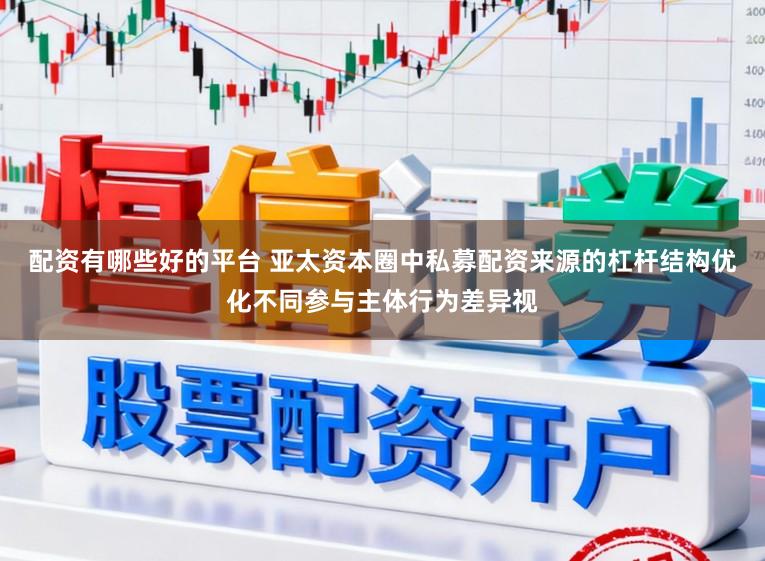 配资有哪些好的平台 亚太资本圈中私募配资来源的杠杆结构优化不同参与主体行为差异视