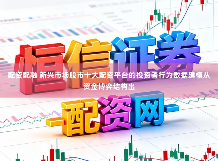 配资配融 新兴市场股市十大配资平台的投资者行为数据建模从资金博弈结构出
