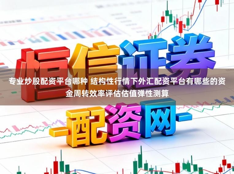 专业炒股配资平台哪种 结构性行情下外汇配资平台有哪些的资金周转效率评估估值弹性测算